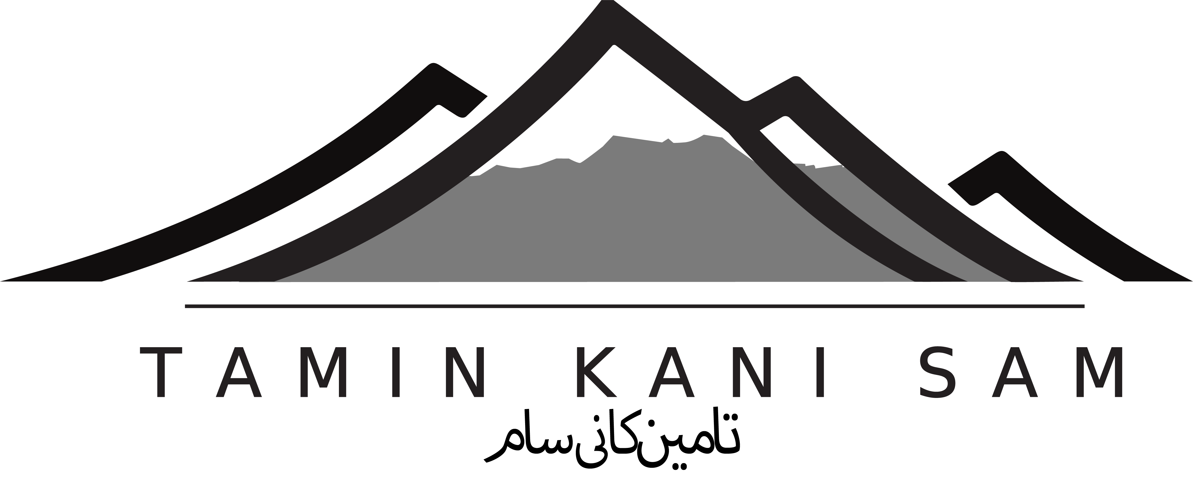 واردات خودروهای خارجی